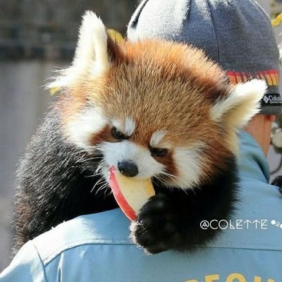 叁柒's profile picture