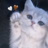 wakaà»ê±'s profile picture