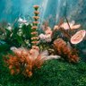 Фото профиля Rajeev Aggarwal