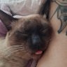lena profil fotoğrafı