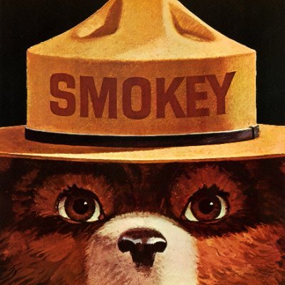 Smokey Bear's profile picture