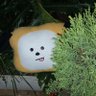 jimin love's profile picture