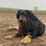 Odin1608 profil fotoğrafı