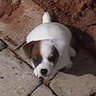 Eric 的头像
