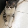Sevgi Karaosmanoğlu profil fotoğrafı