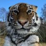 Фото профиля 傻瓜