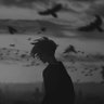 SΞVΞN's profile picture