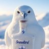 SnowbirdRum's profile picture