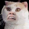 Brasileiro_Afobado's profile picture