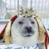 ánimorl34's profile picture
