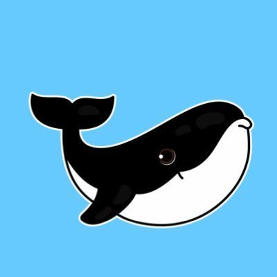 WHALE ๐ณ EVERYTHING's profile picture