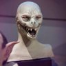 Profilbild von Reptilian-Human_hybrid2