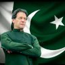 Profilbild von Imran Malik'