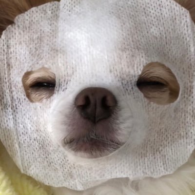 ๋ ๋ฆ's profile picture