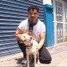 Profilbild von Ariel Rodriguez