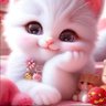 Fozia Ali profil fotoğrafı