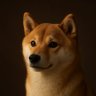 犬好き犬派's profile picture