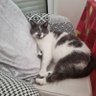 Didmil profil fotoğrafı