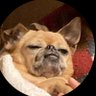 Dr. 松田 茂's profile picture