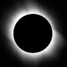 falsification's profile picture