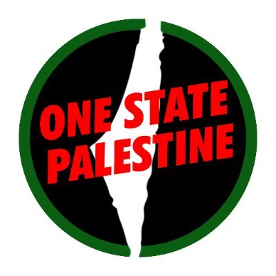 OneStatePalestine's profile picture