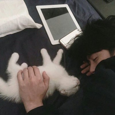 SafeONLINE_'s profile picture