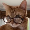 Profilbild von Alan