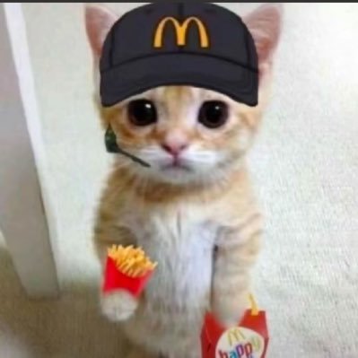 堂吉诃德's profile picture