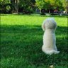 kLbLk's profile picture