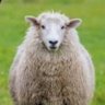 Profilbild von BTC to Zero