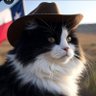 Happy's profile picture