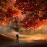 maple c profil fotoğrafı