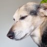 Seba.-'s profile picture