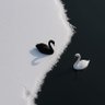 李锐霆 profil fotoğrafı