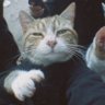 Faasa🌴's profile picture
