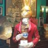 Profilbild von Xam Rose