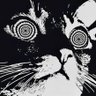 Kedi profil fotoğrafı