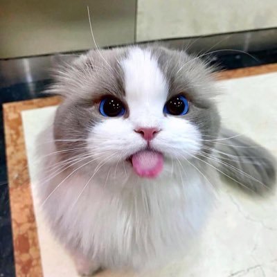 อะบุ้บี้~~'s profile picture