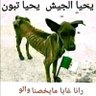 Hakeem Abdo قاهر كراغلا 的头像