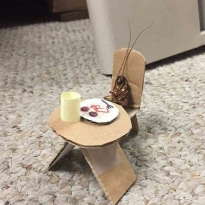 elif uluğ's profile picture