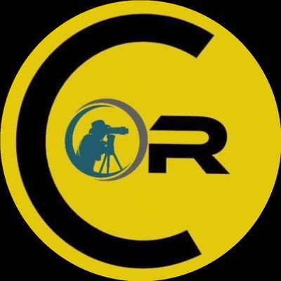 circulanarede's profile picture