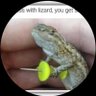 steve da lizard's profile picture