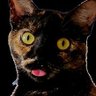 Profilbild von Conservative Cat 1791