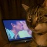 ааааа profil fotoğrafı