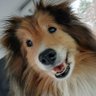 SkyatheWonderful's profile picture