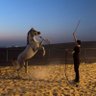 Фото профиля د. عبدالرحمن بن دخنة