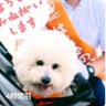 ジェームス's profile picture