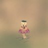 k.d's profile picture