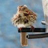 Kate von Goeler 🦜's profile picture