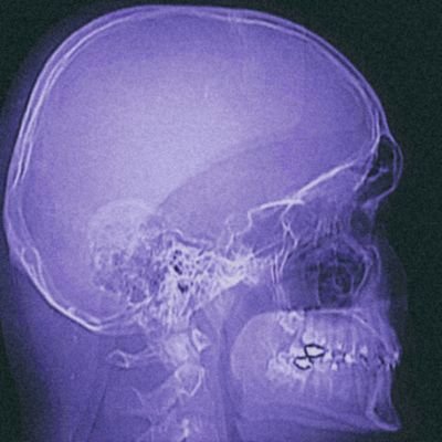 interdisipliner's profile picture